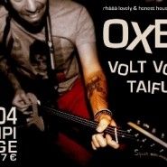 oxes oxes