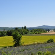 DSC_0042 DSC_0042