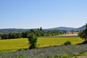 DSC_0042