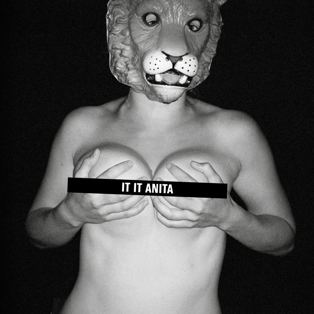 It It Anita - indie noise rock