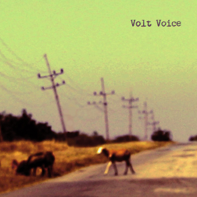 Volt Voice - indie noise rock